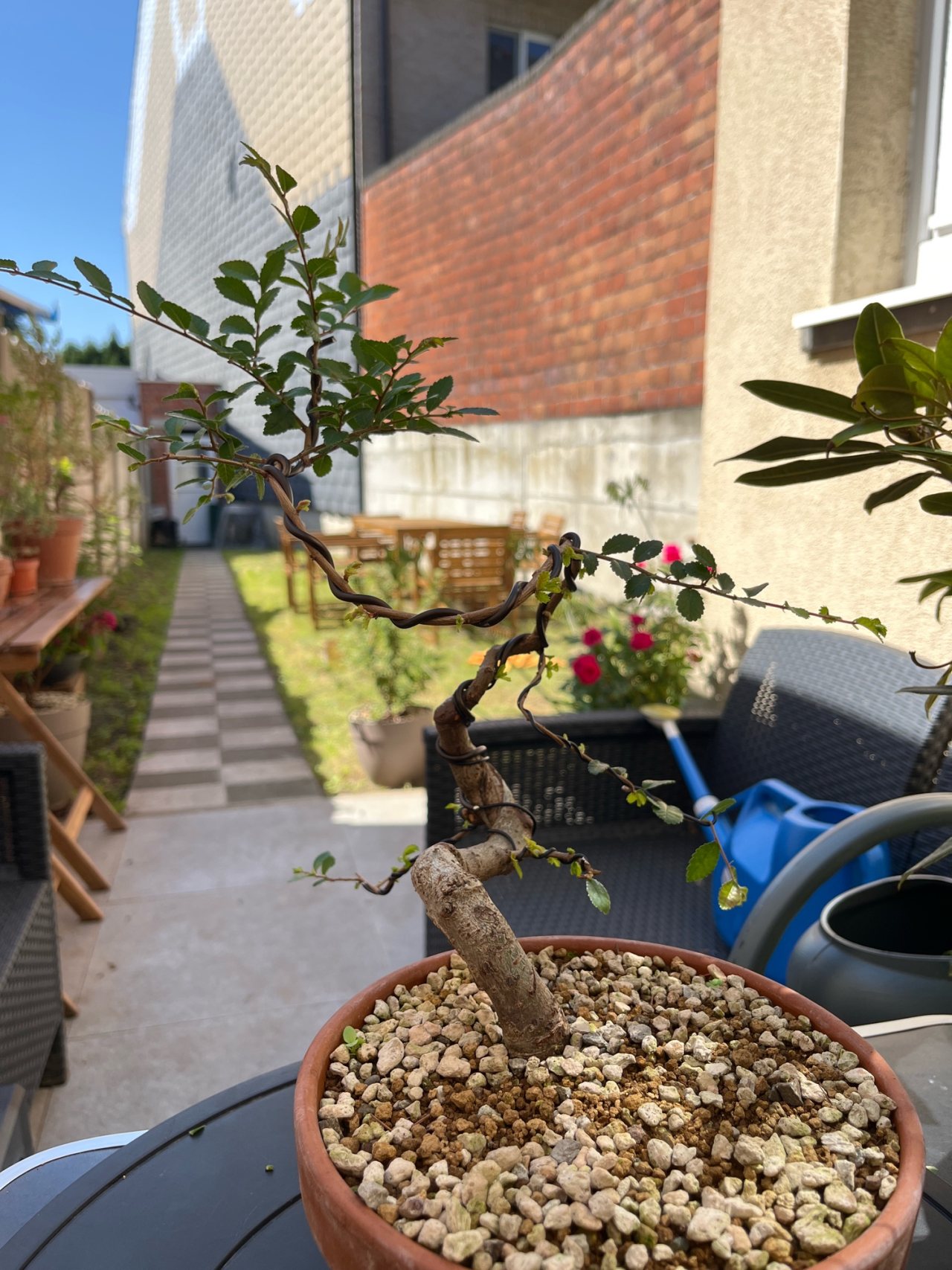 Photo 17