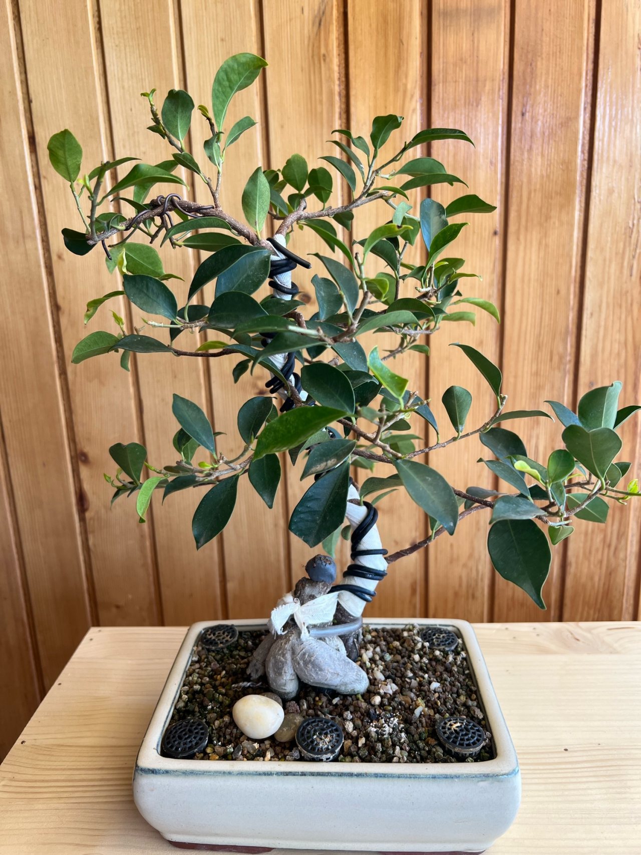 Photo 25