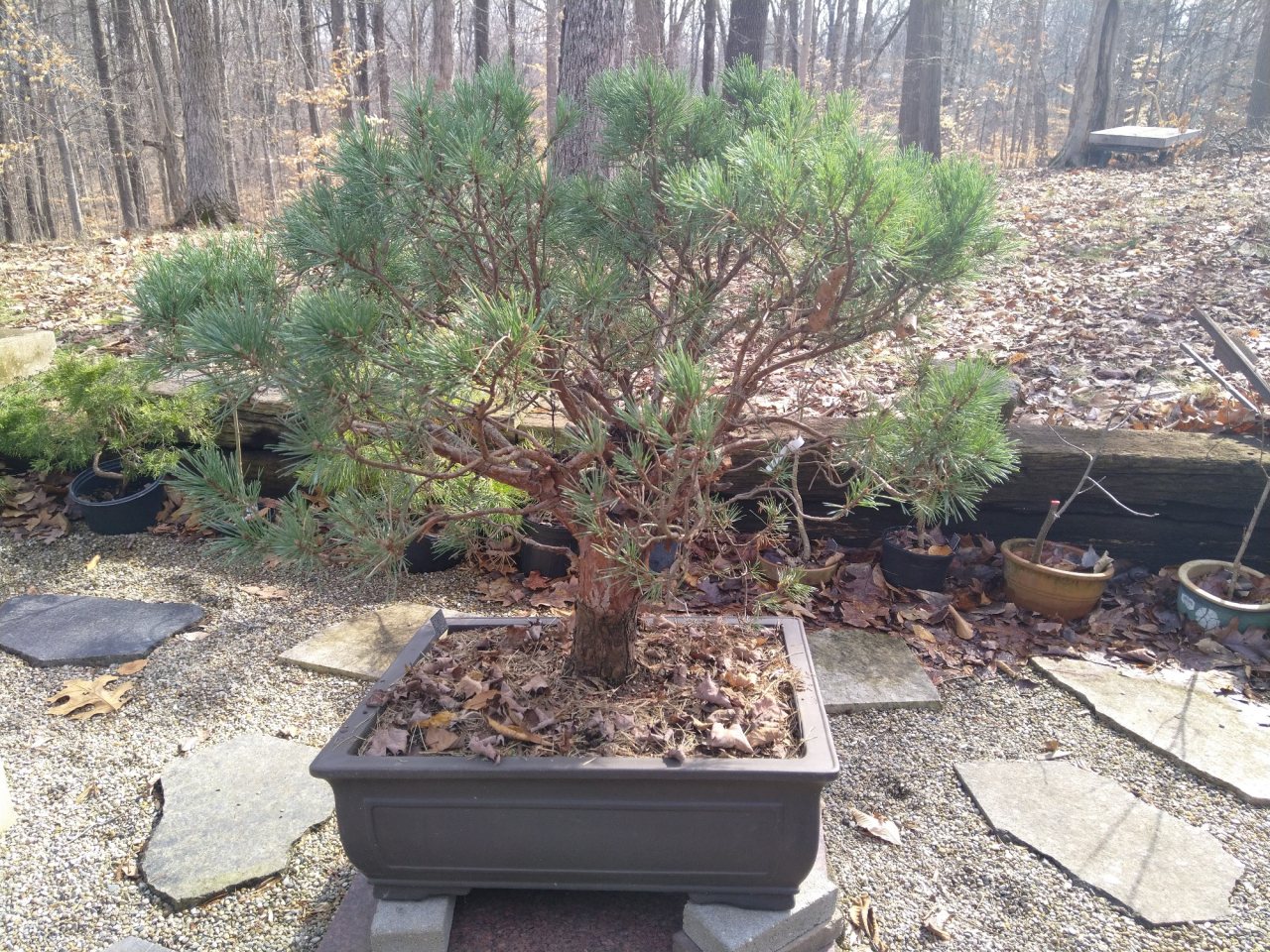 Photo 5