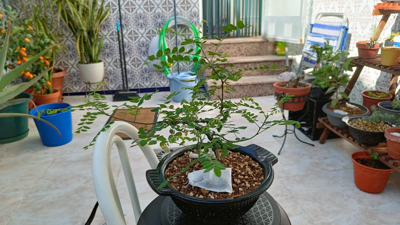 Photo 25