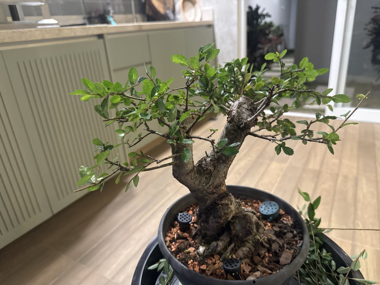 Photo 19