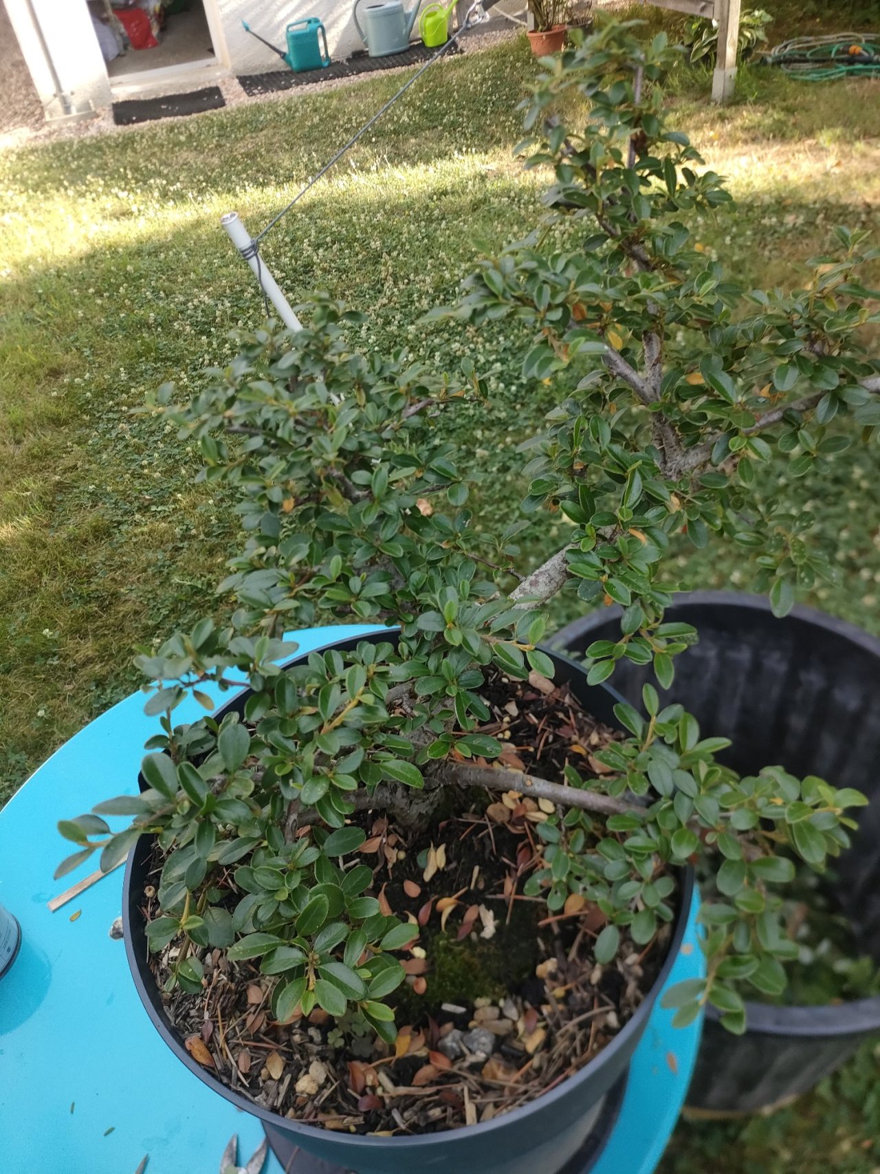 Photo 14