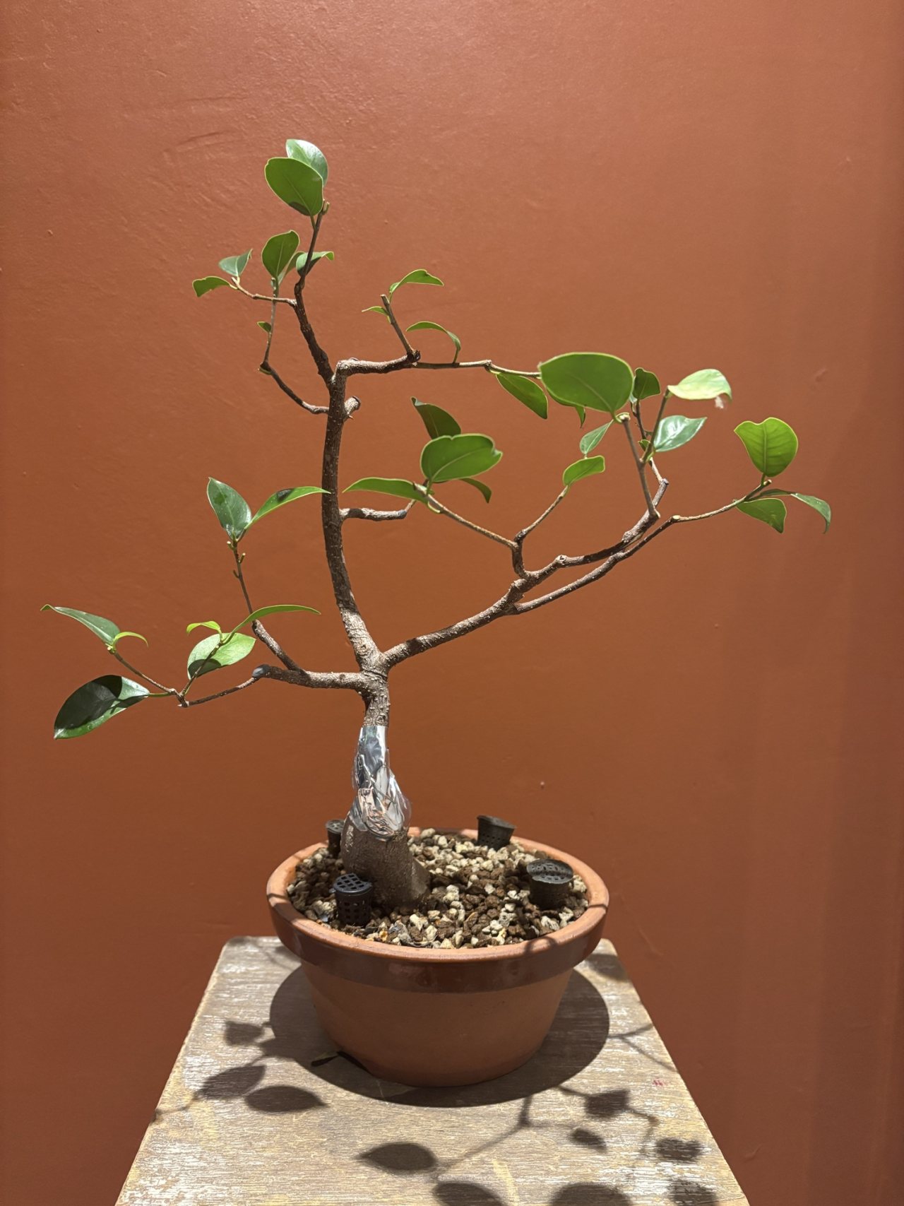 Photo 5