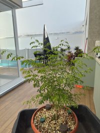 Reinigung - 16.01.26 - Photo 1/2
