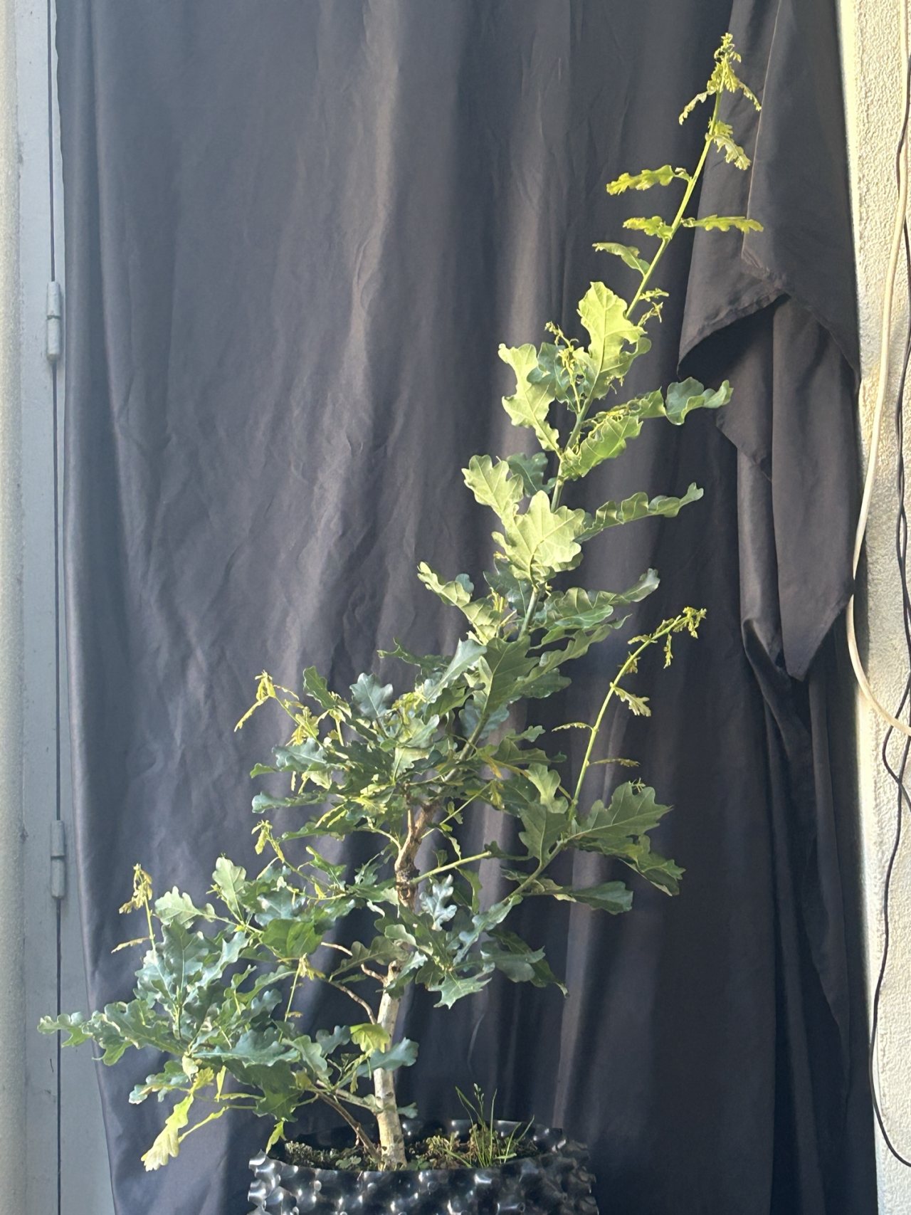 Photo 28