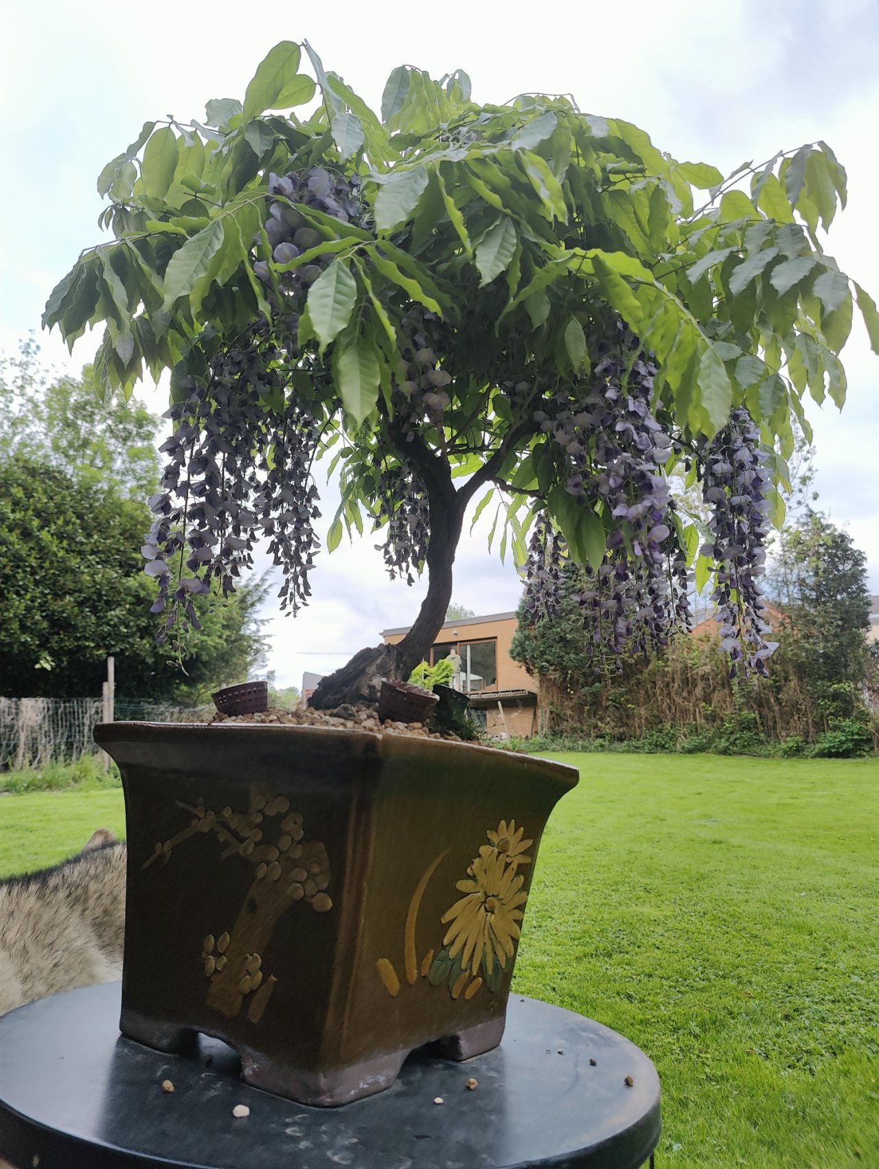 Photo 21
