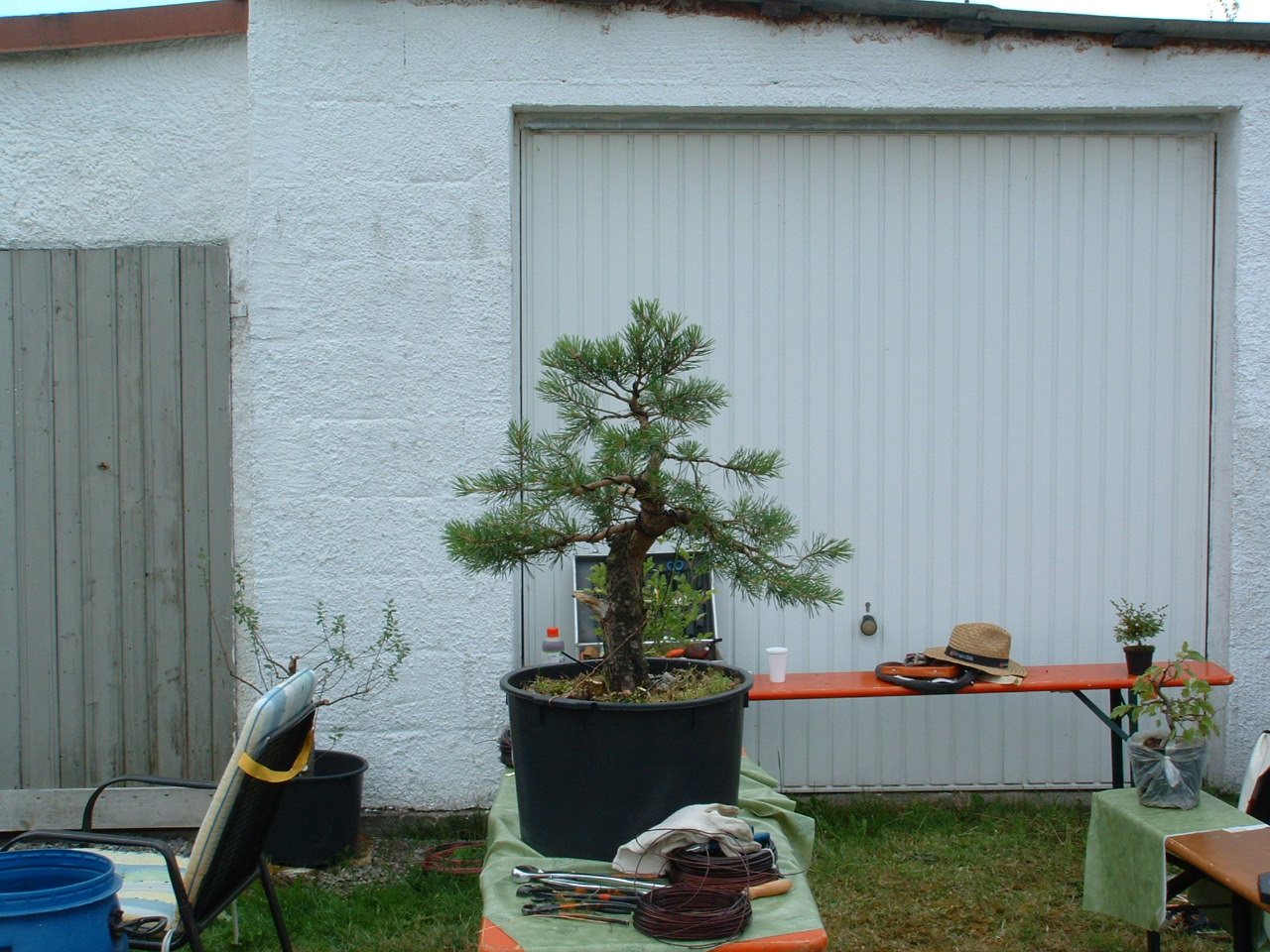 Photo 2