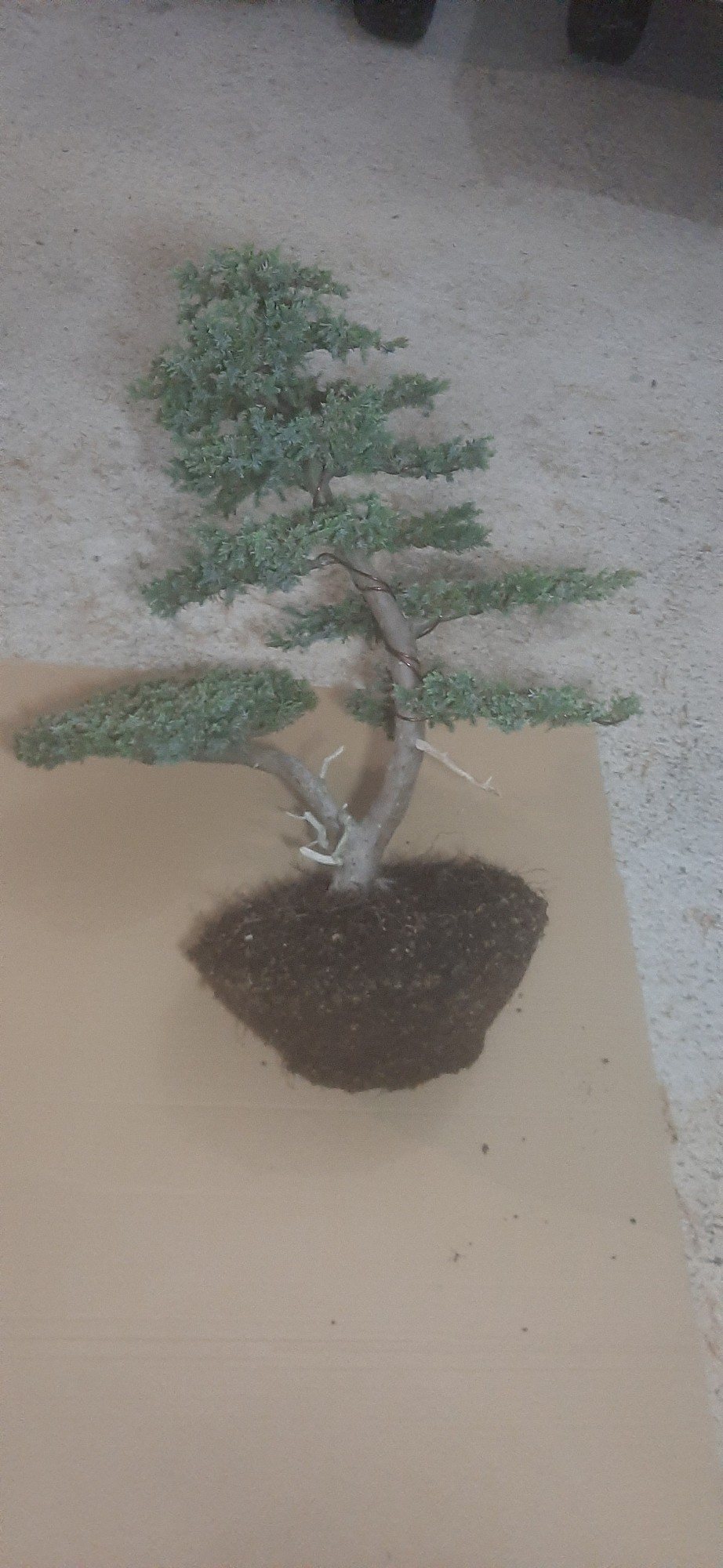 Photo 22