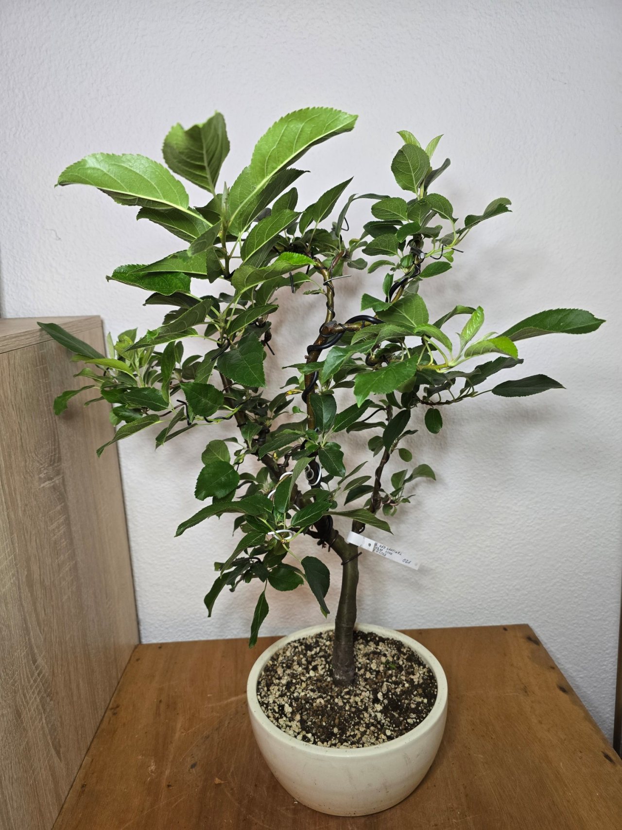 Photo 13