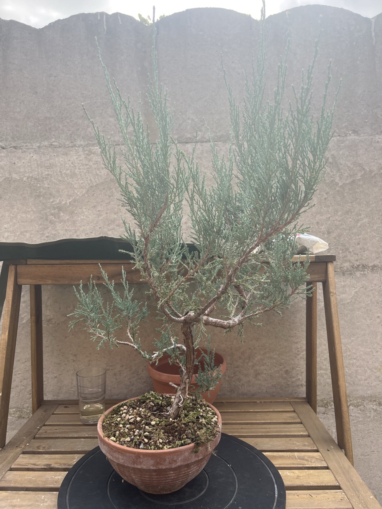 Photo 19