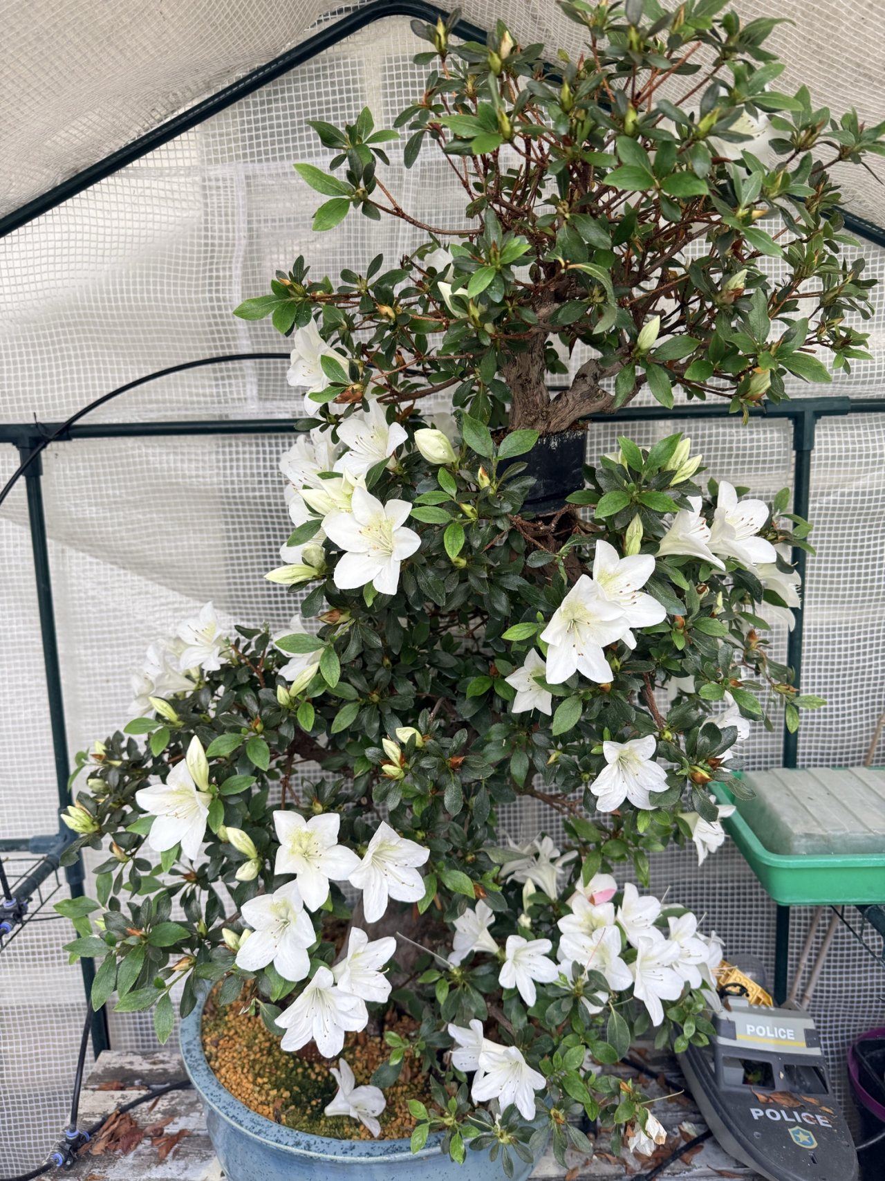 Photo 19