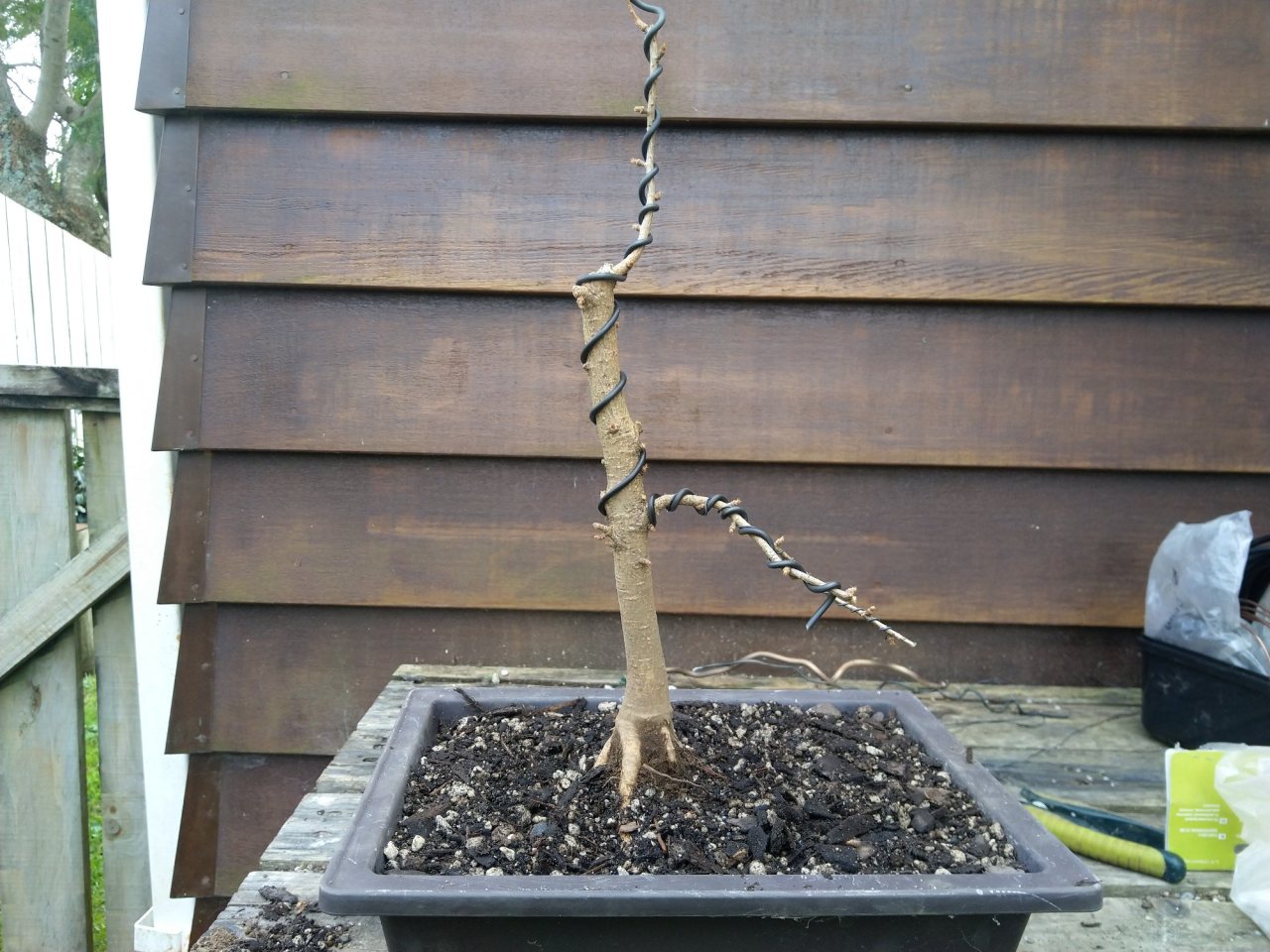 Photo 3