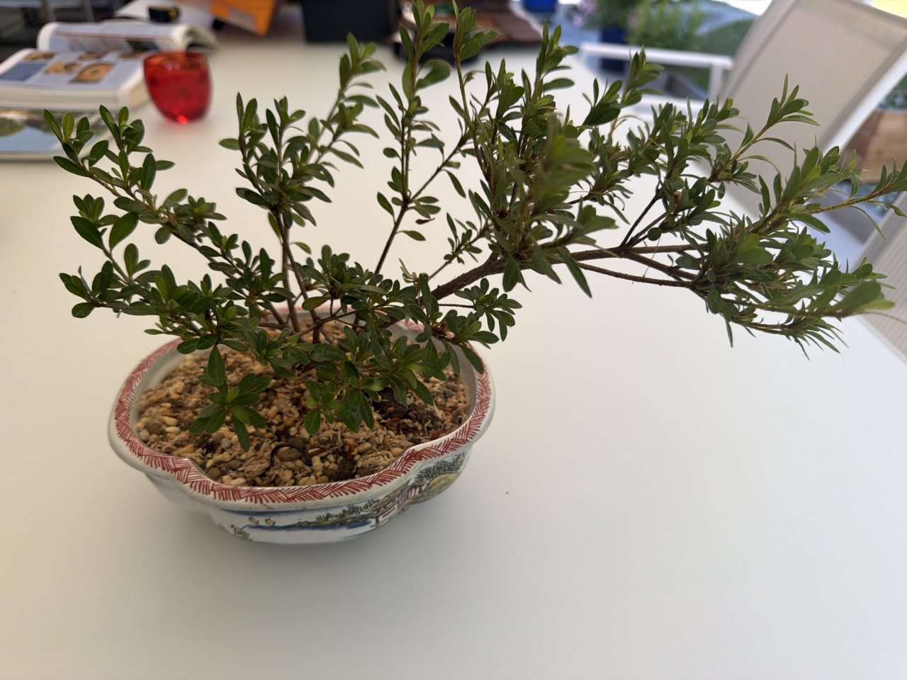 Photo 6