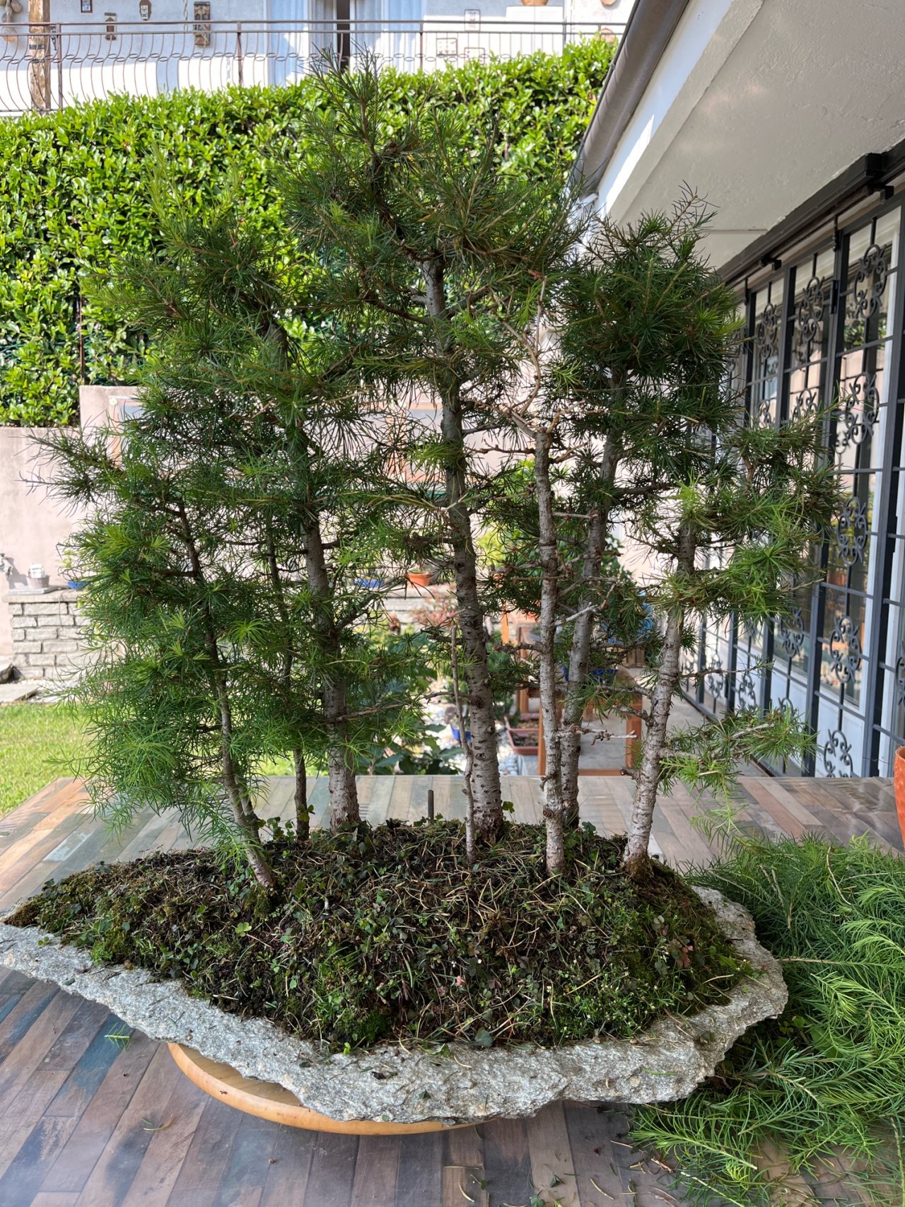 Photo 21