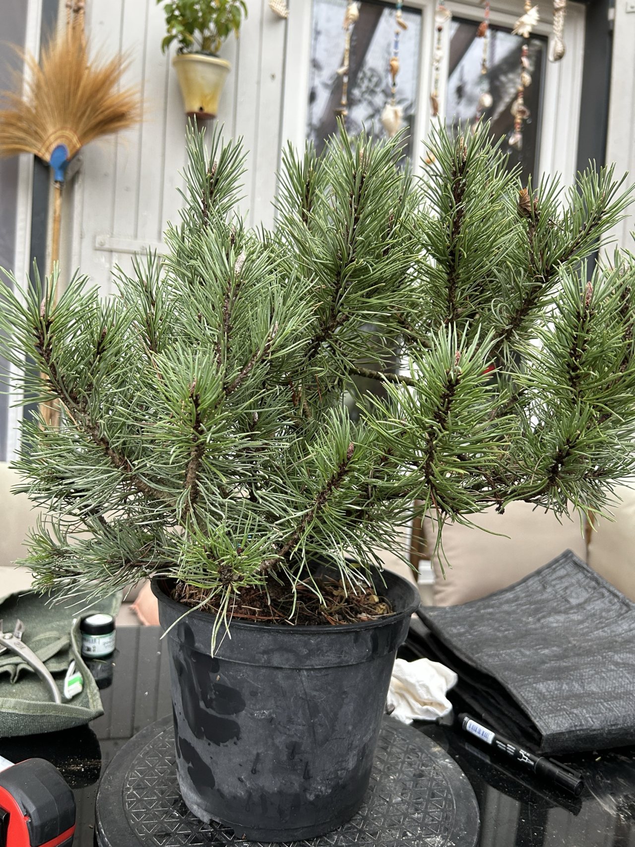 Photo 5