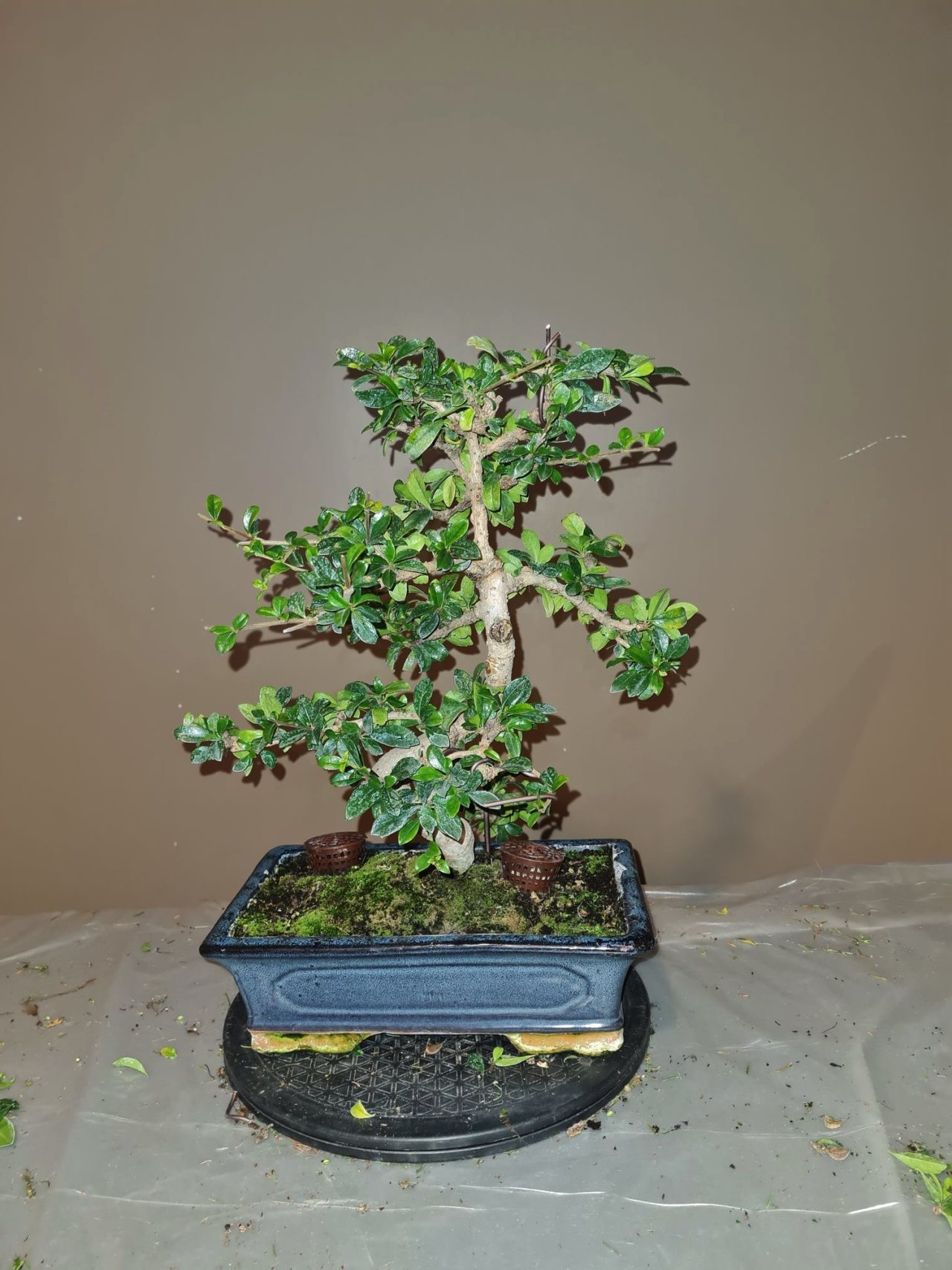 Photo 5