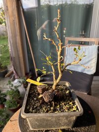 उर्वरक - 9/9/25 - Photo 1/2