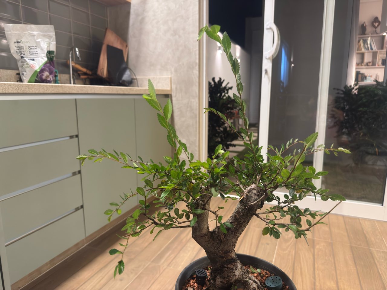 Photo 17