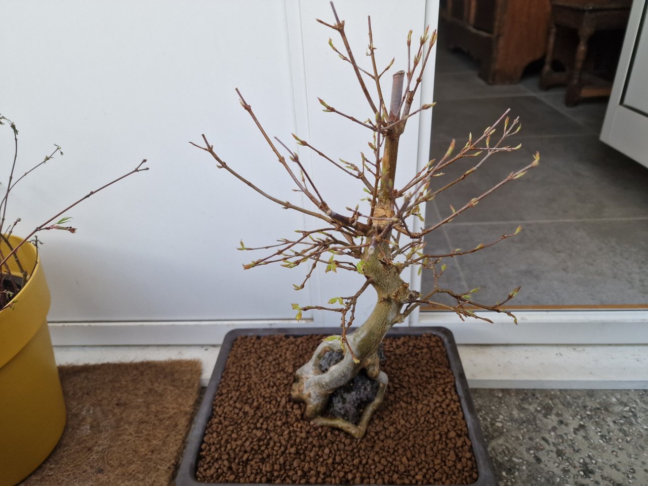 Photo 28