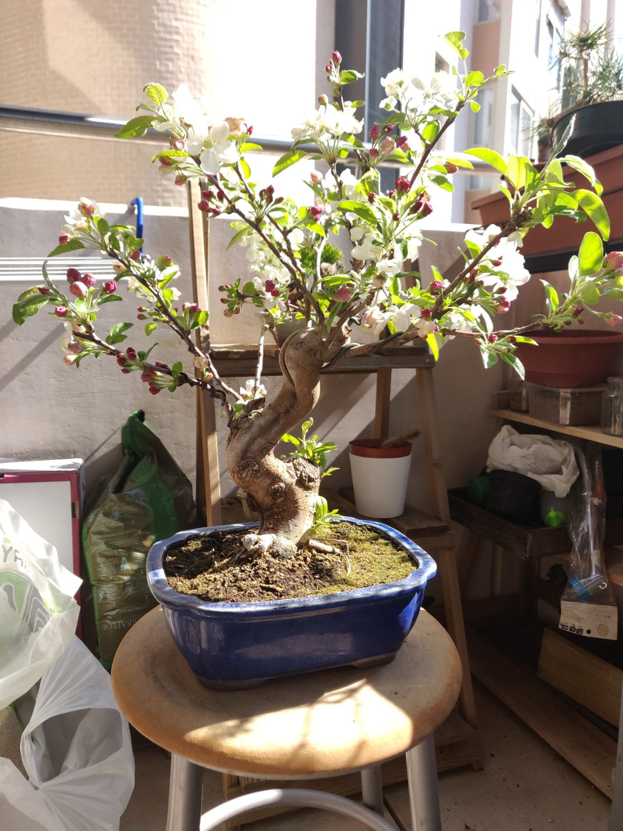 Photo 26