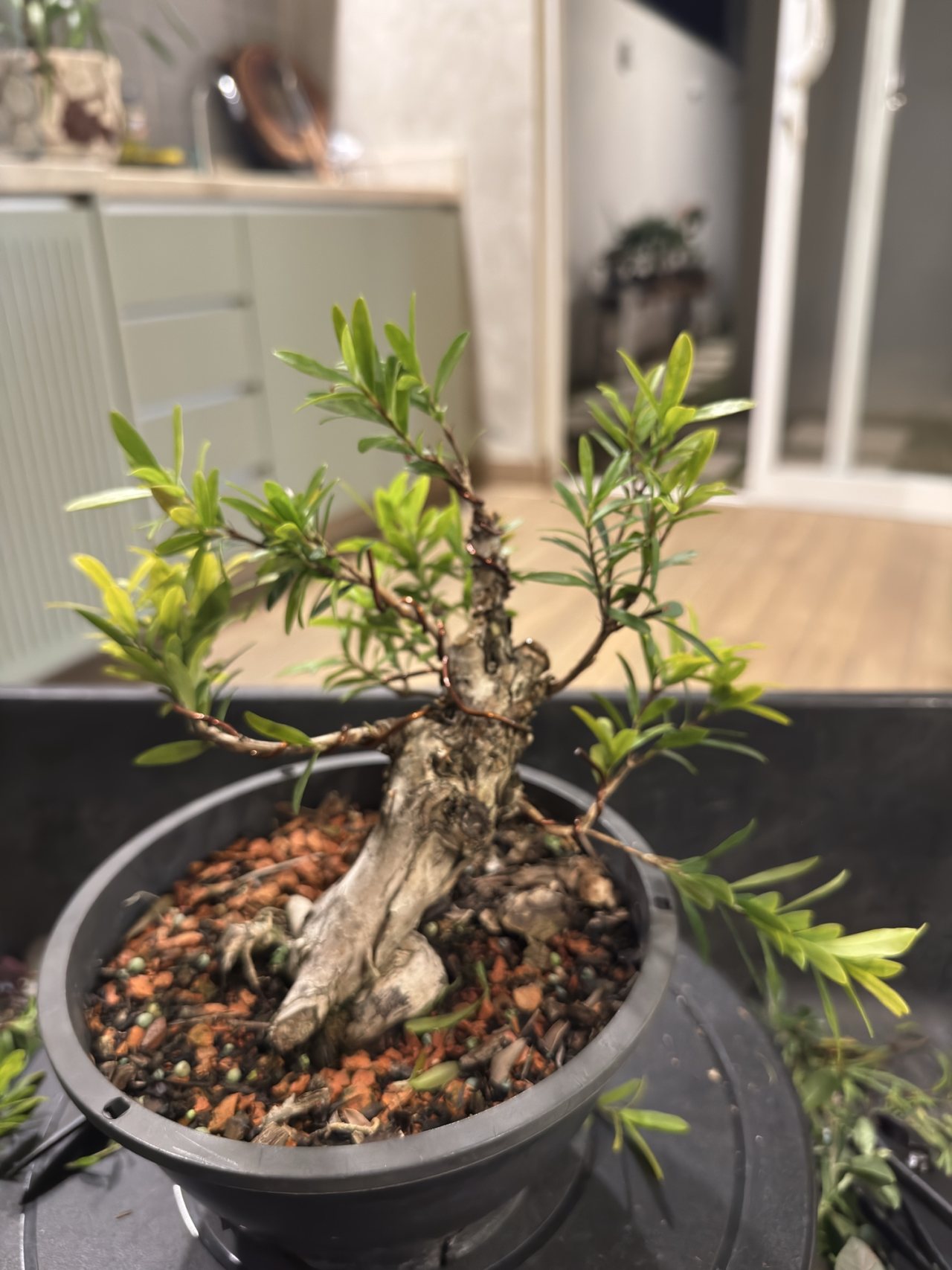 Photo 18