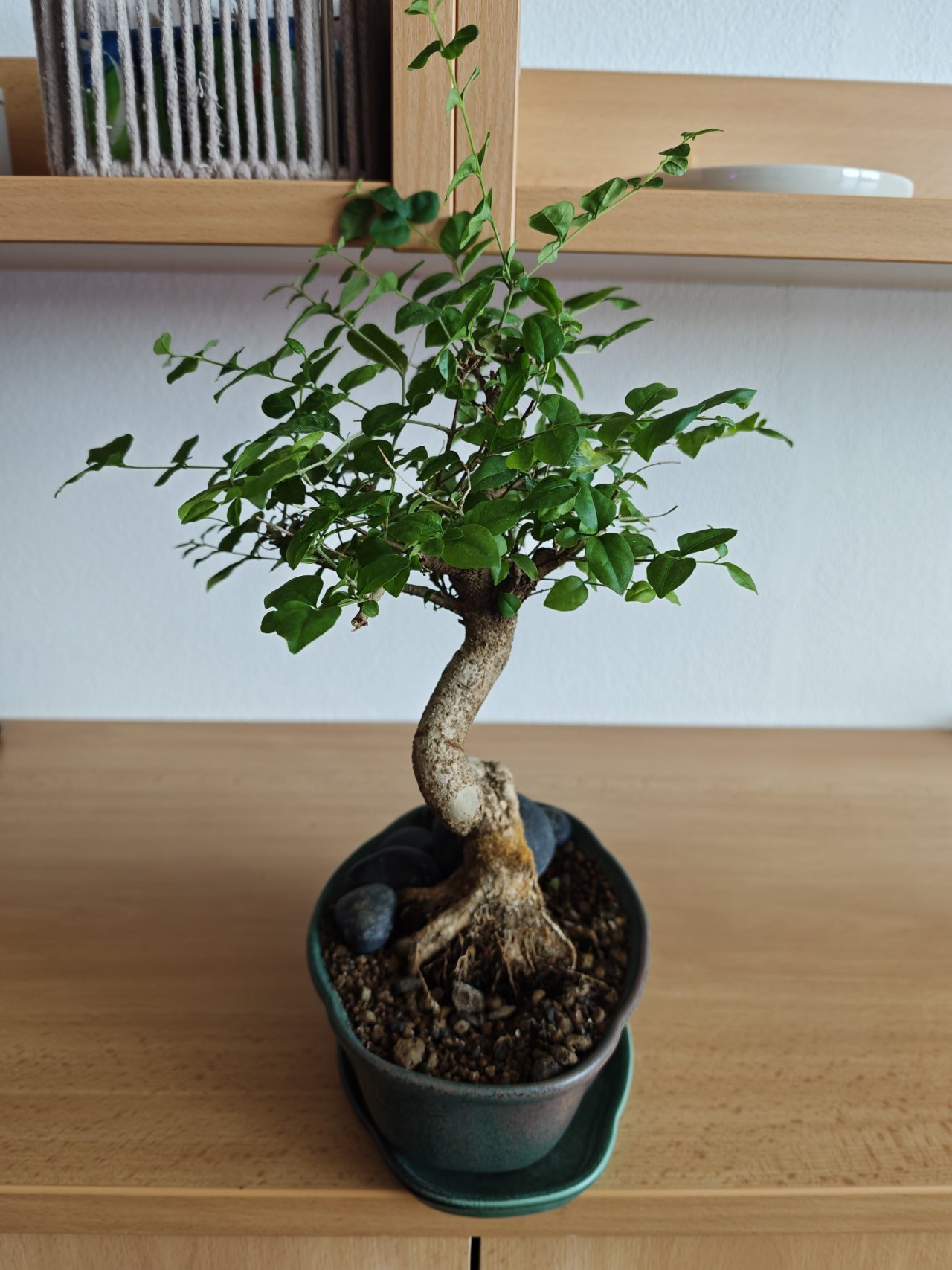 Photo 17