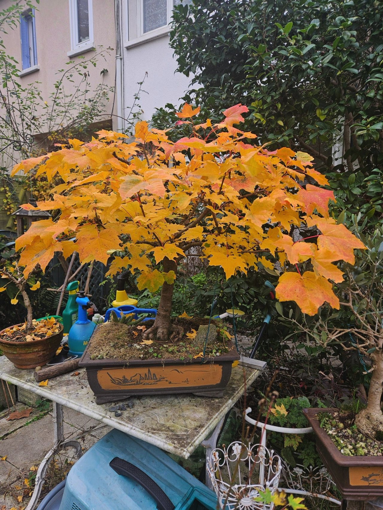 Photo 2