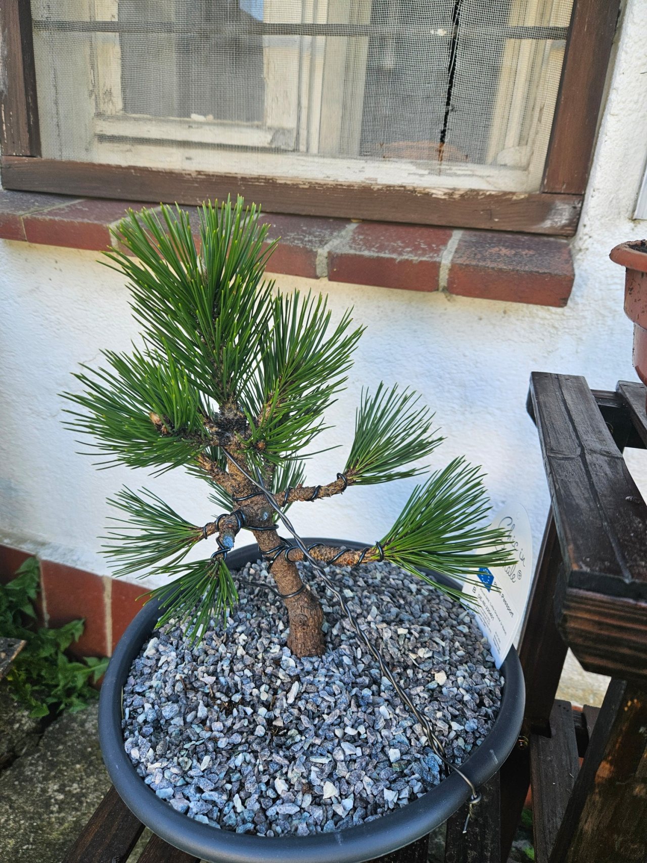 Photo 3