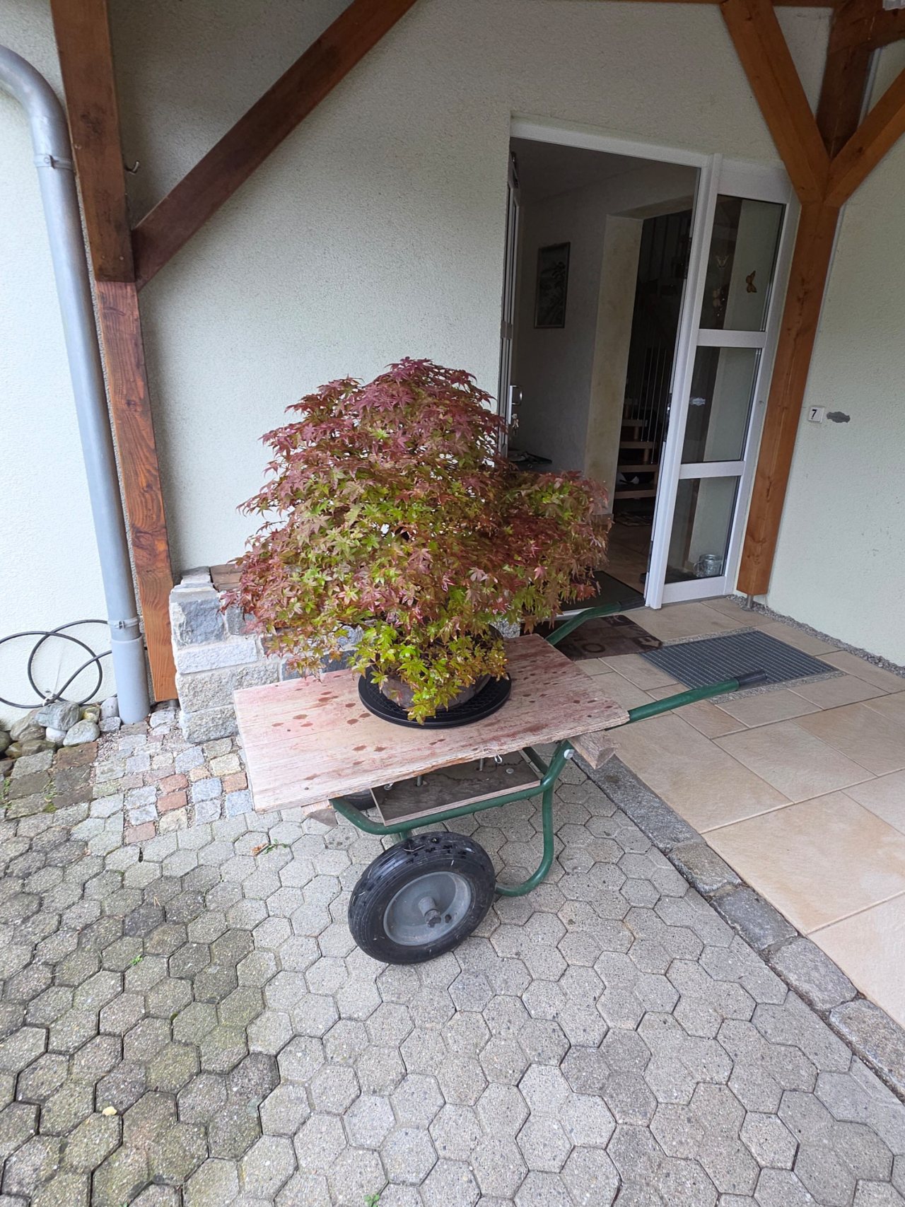 Photo 2