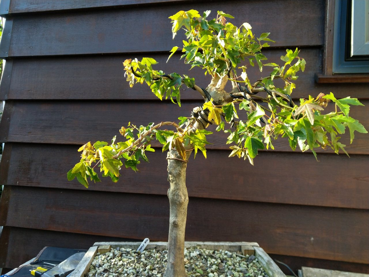 Photo 4