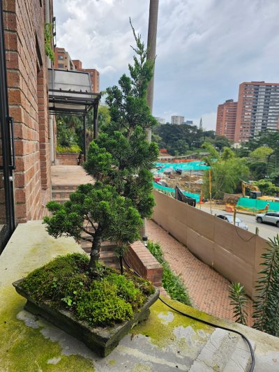 San Jose Los Naranjos
