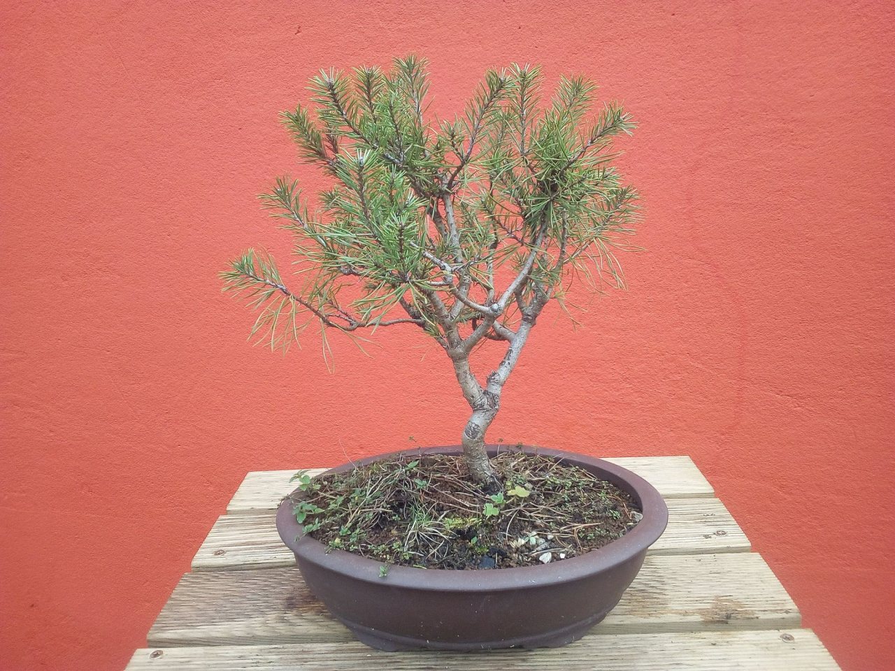 Photo 3