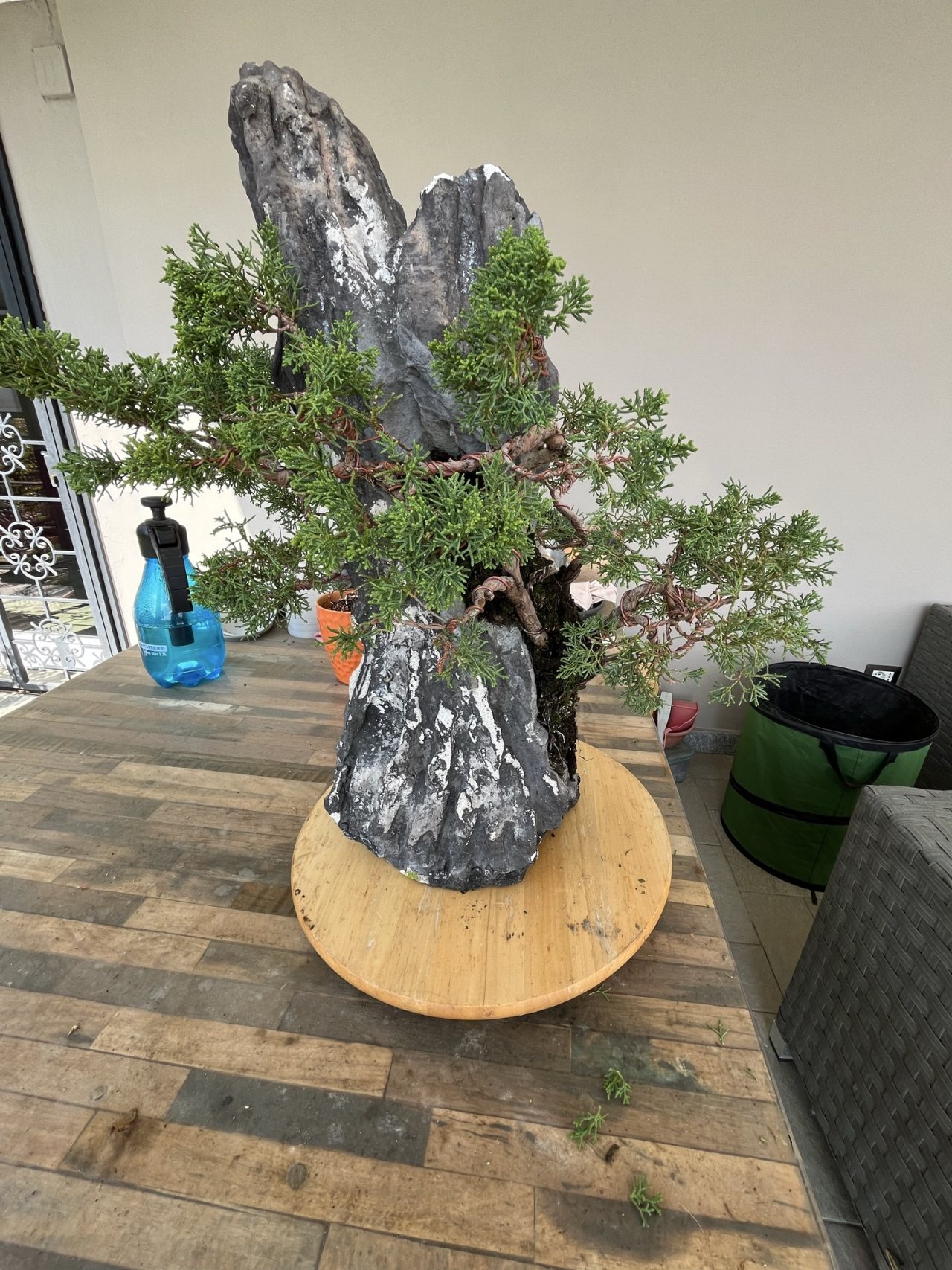 Photo 13