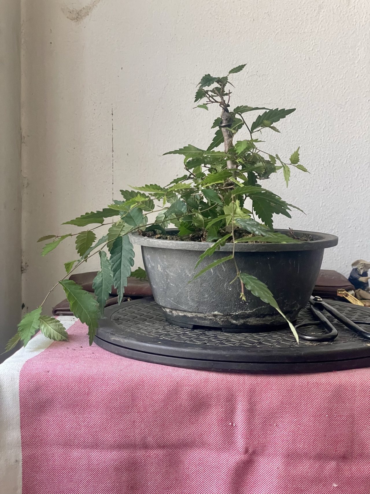 Photo 18