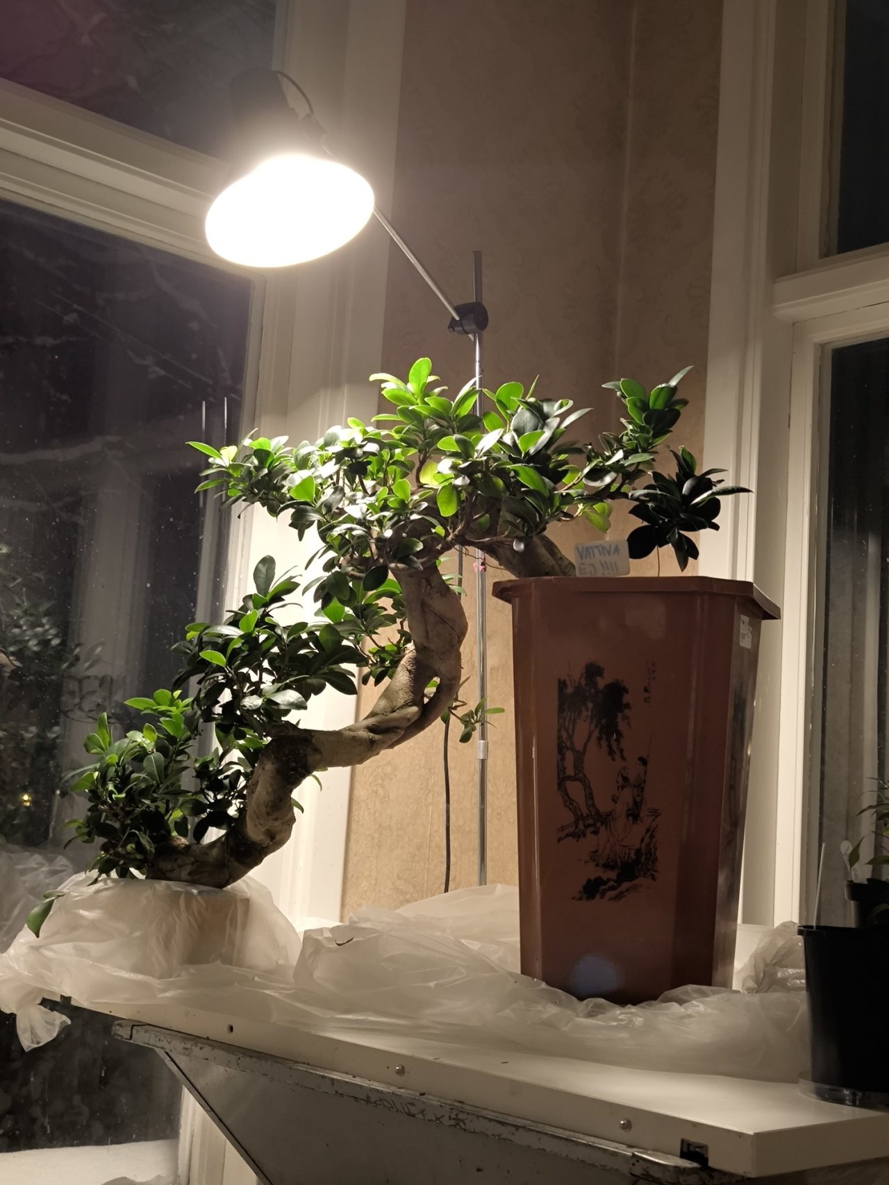 Photo 3
