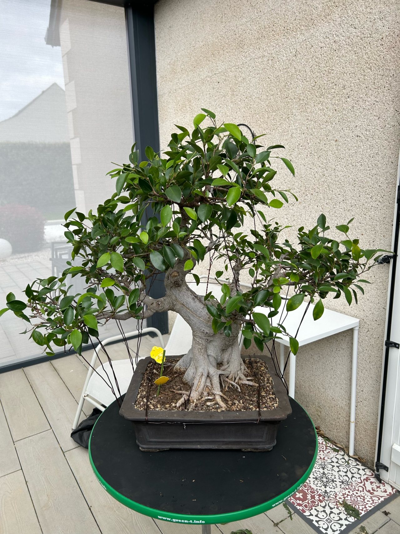 Photo 5