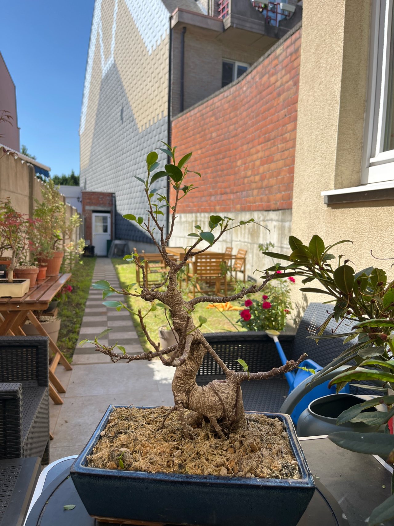 Photo 13