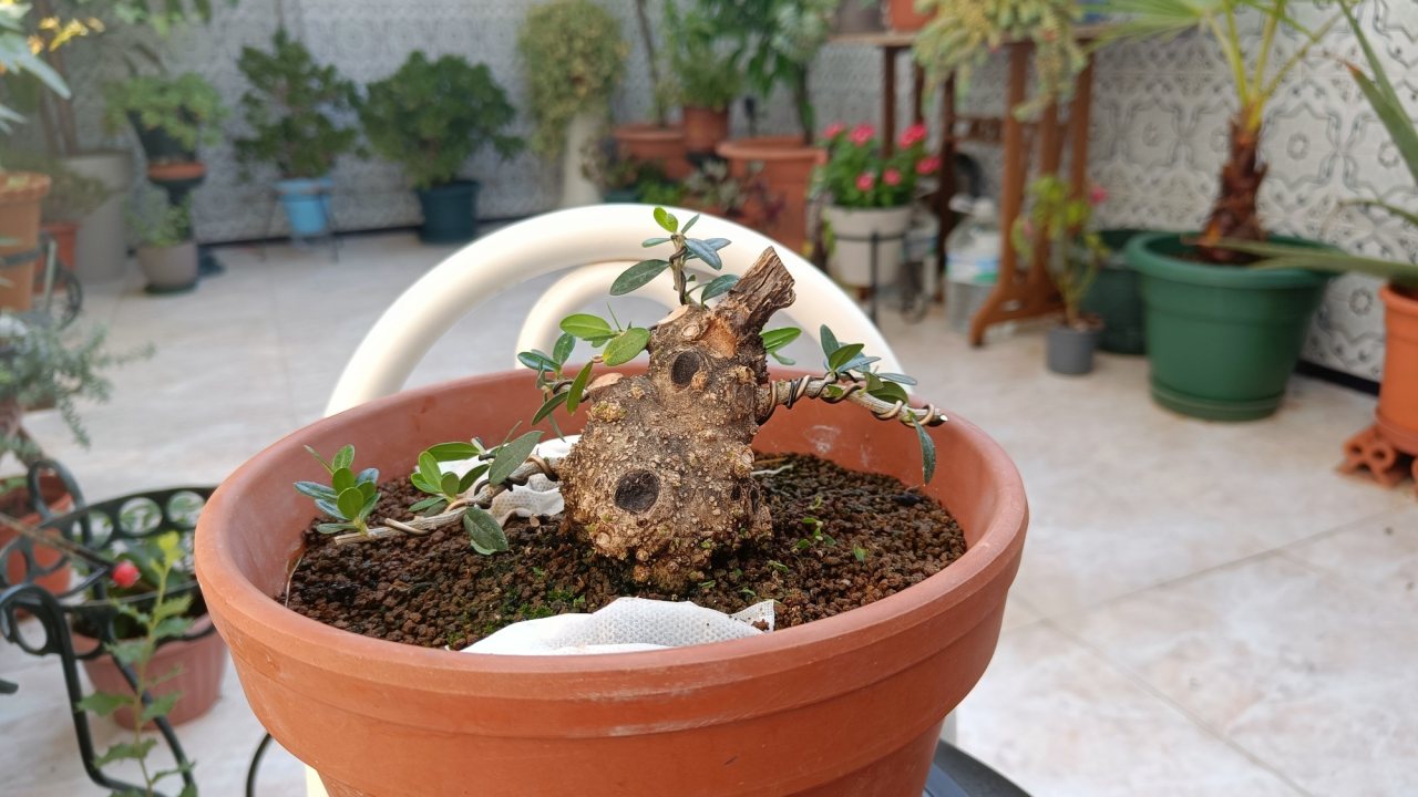 Photo 21