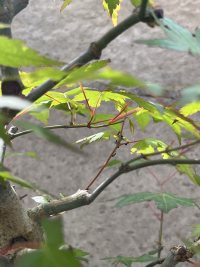 Behandlung - 02.05.26 - Photo 1/2