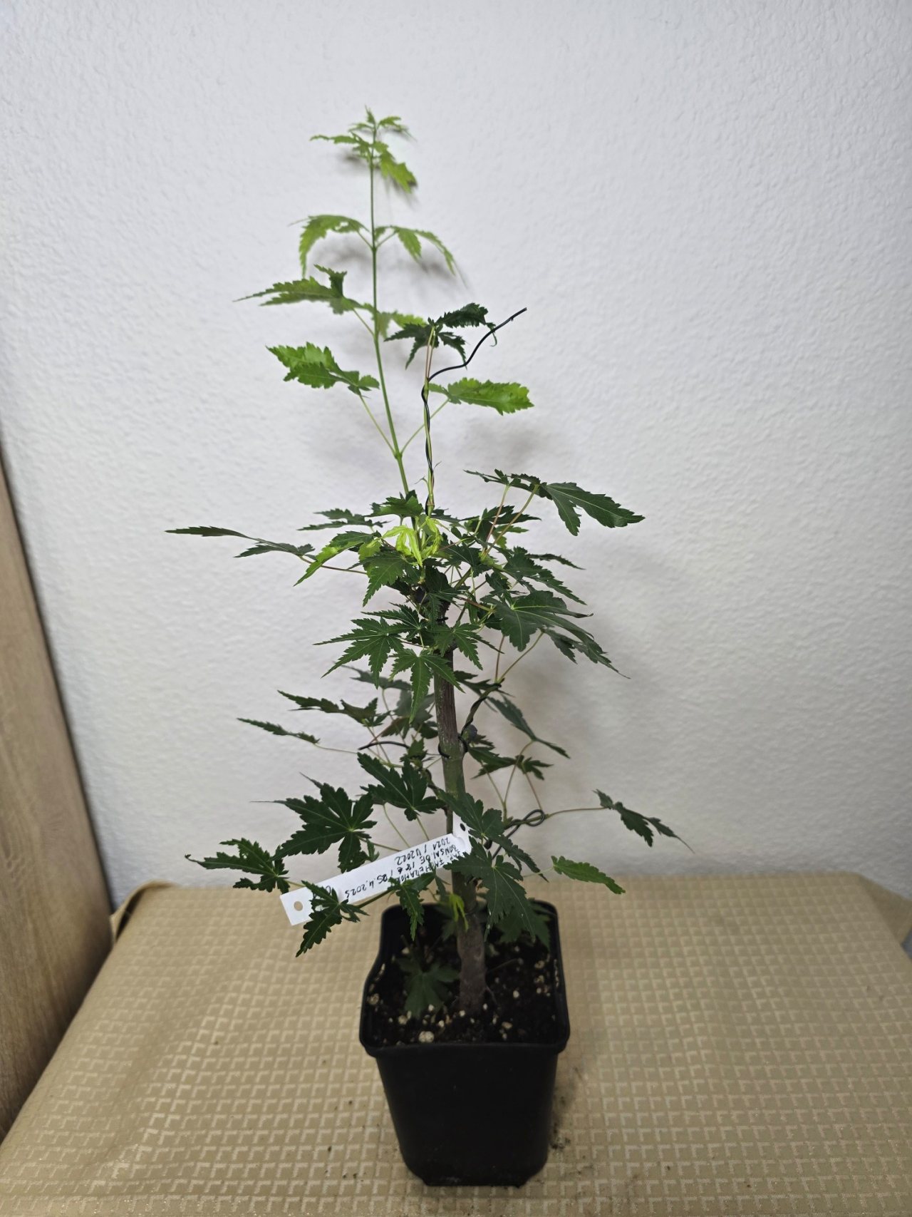 Photo 22