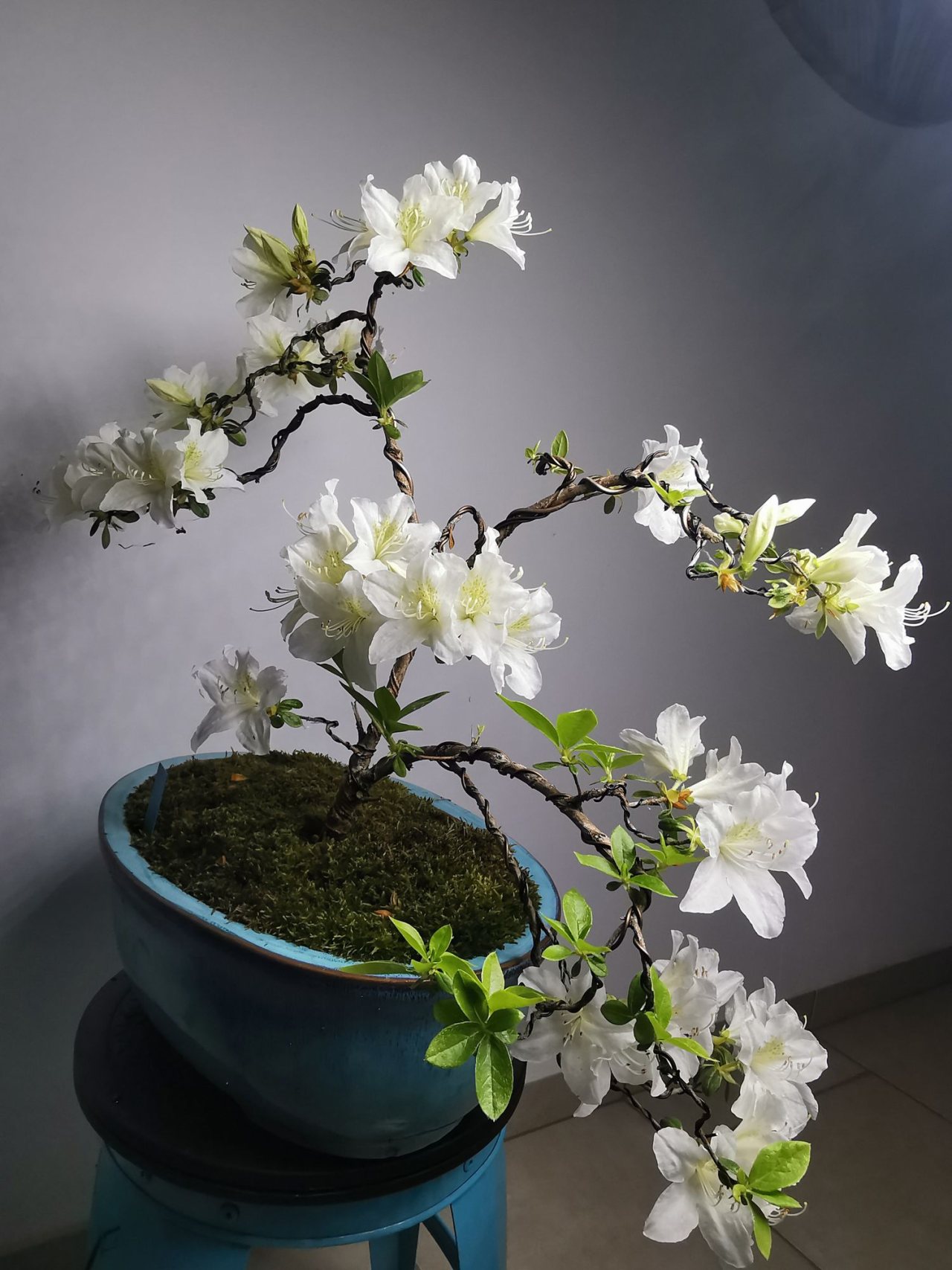 Photo 17