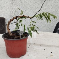 Beobachtung - 11.06.26 - Photo 1/1