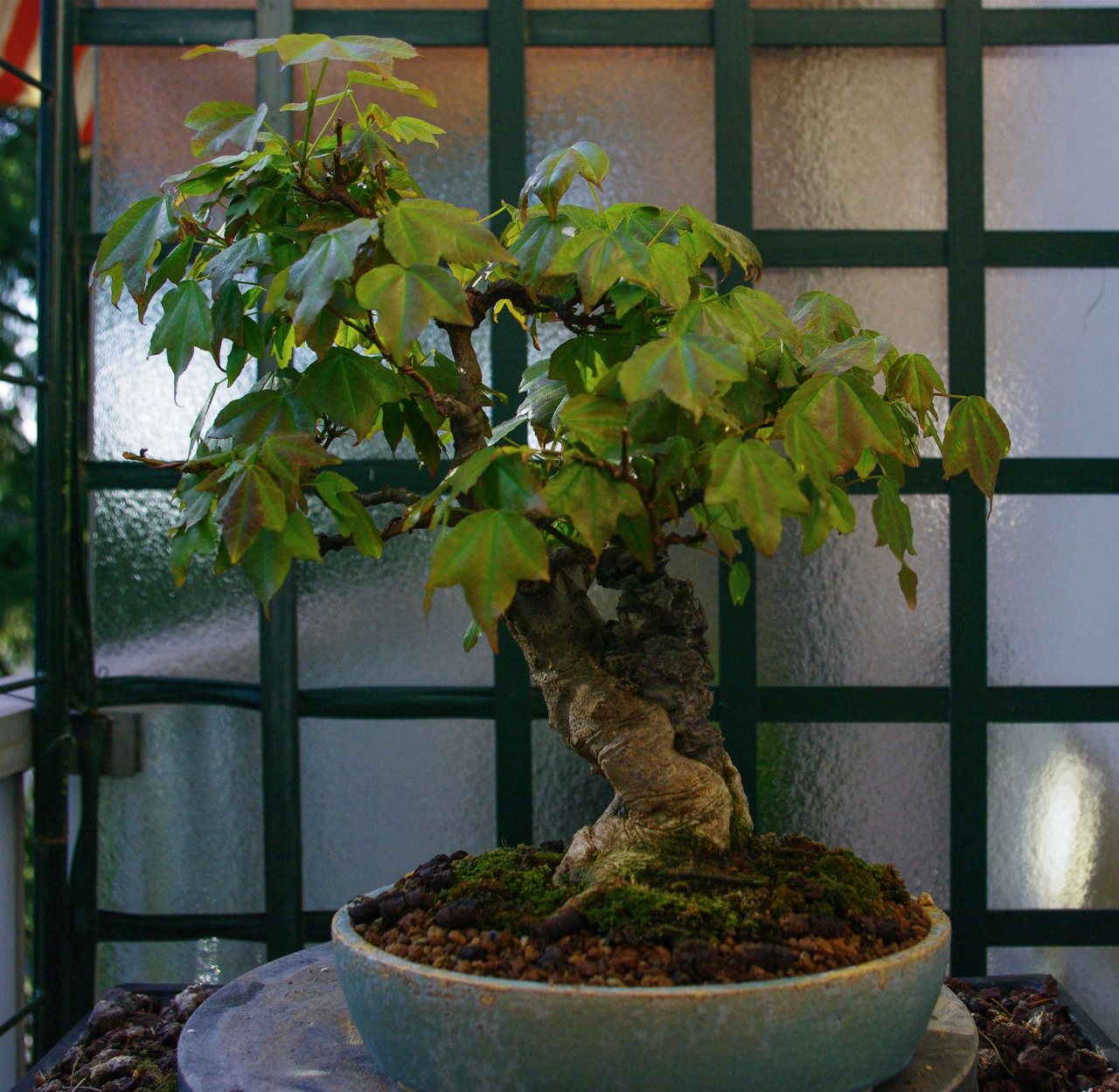 Photo 8