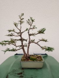 Legatura - 01/02/26 - Photo 1/1