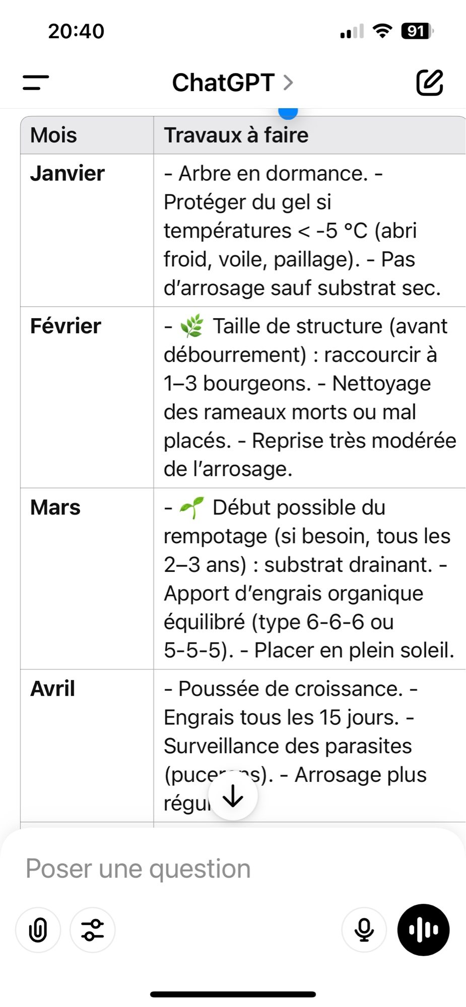 Photo 7