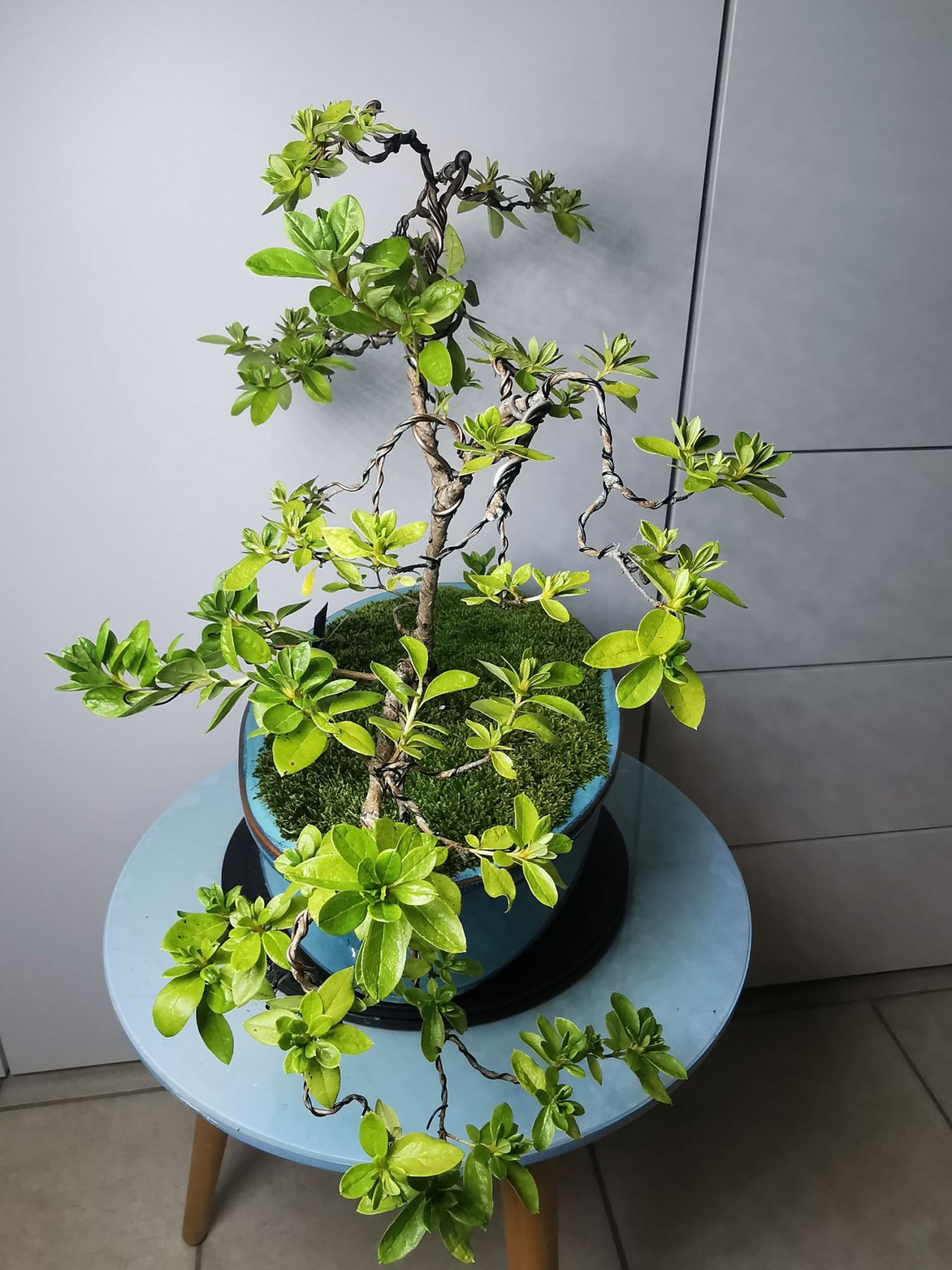 Photo 22