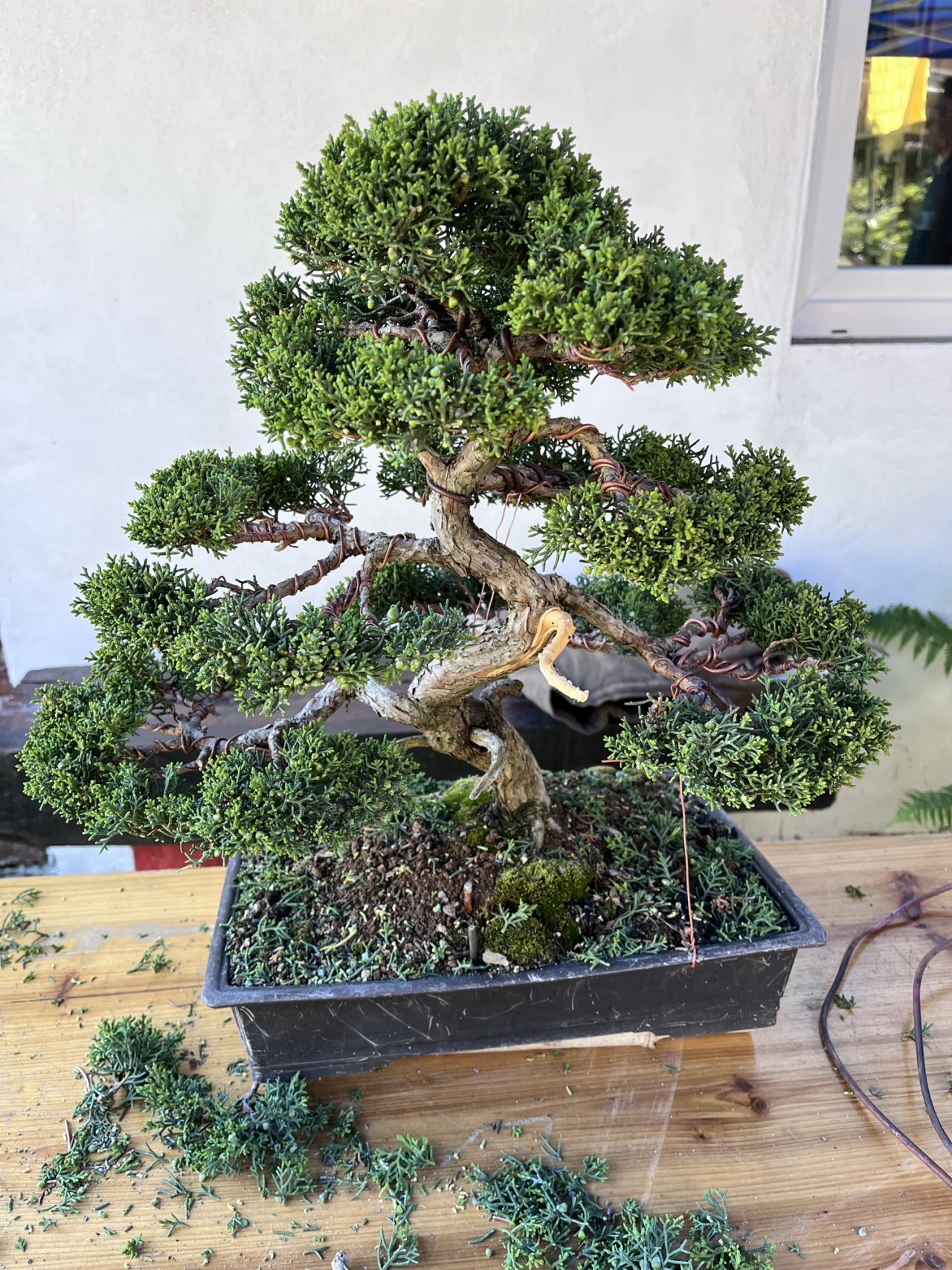 Photo 12