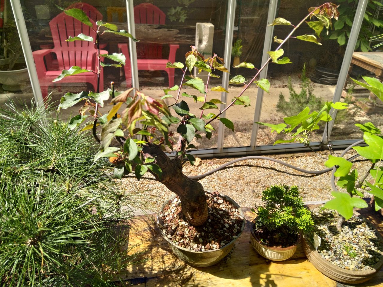 Photo 4