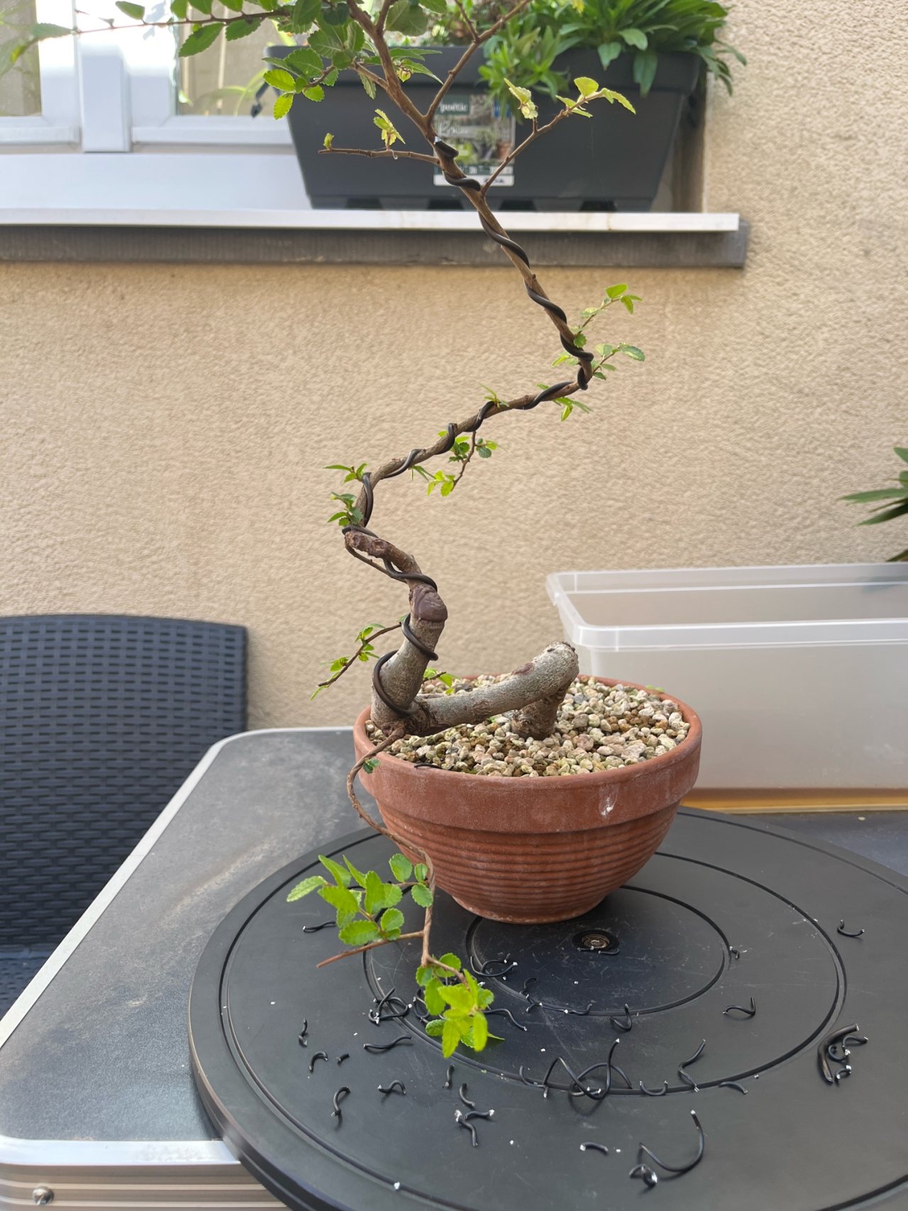 Photo 23