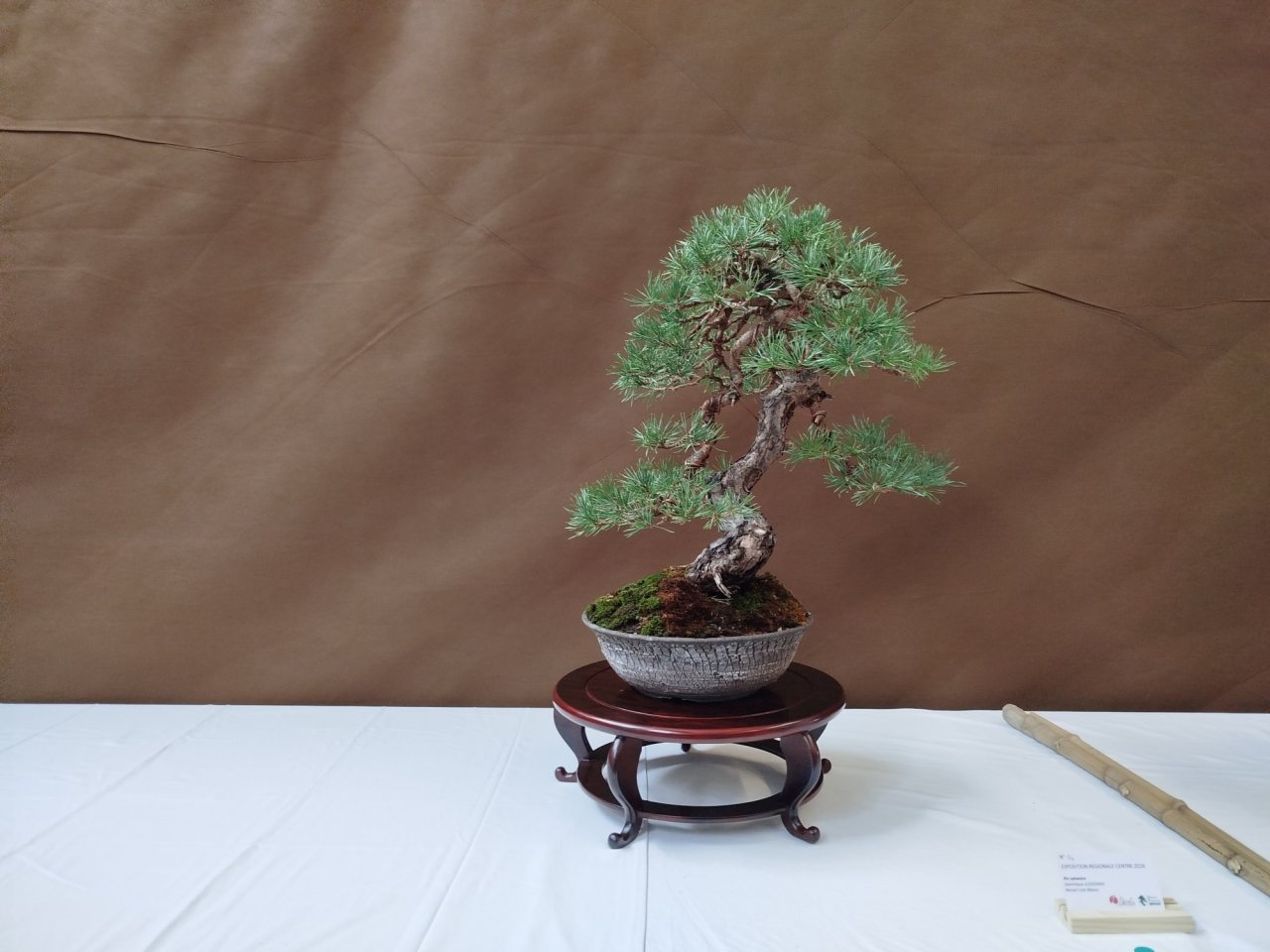 Photo 21